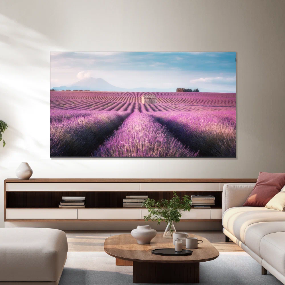 TCL 98C6K — разъёмы и подключение, вид сзади