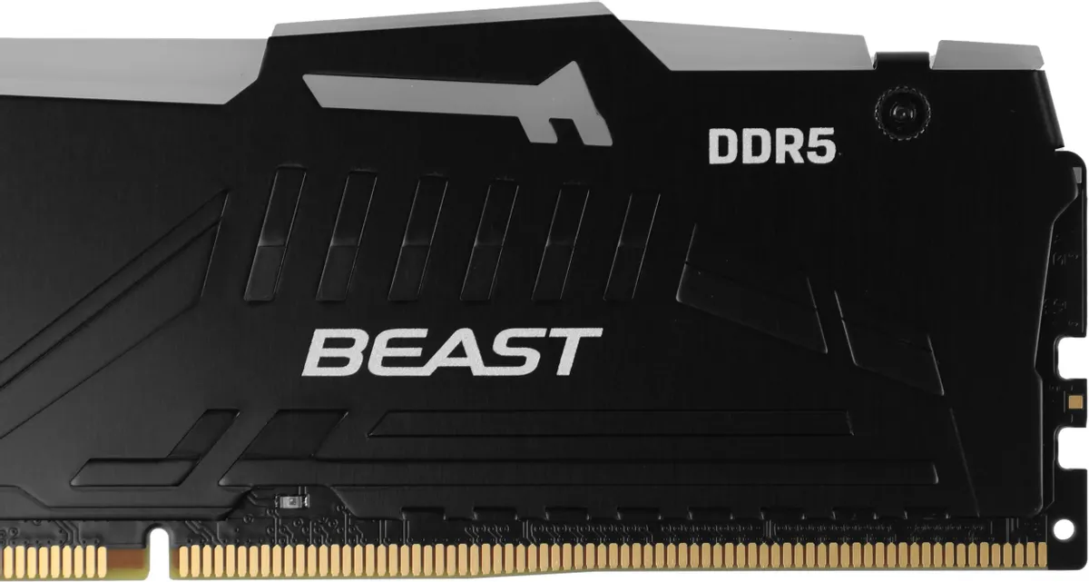 Kingston Fury Beast KF552C40BBA-8 DDR5 боковой профиль радиатор с прорезями позолоченные контакты