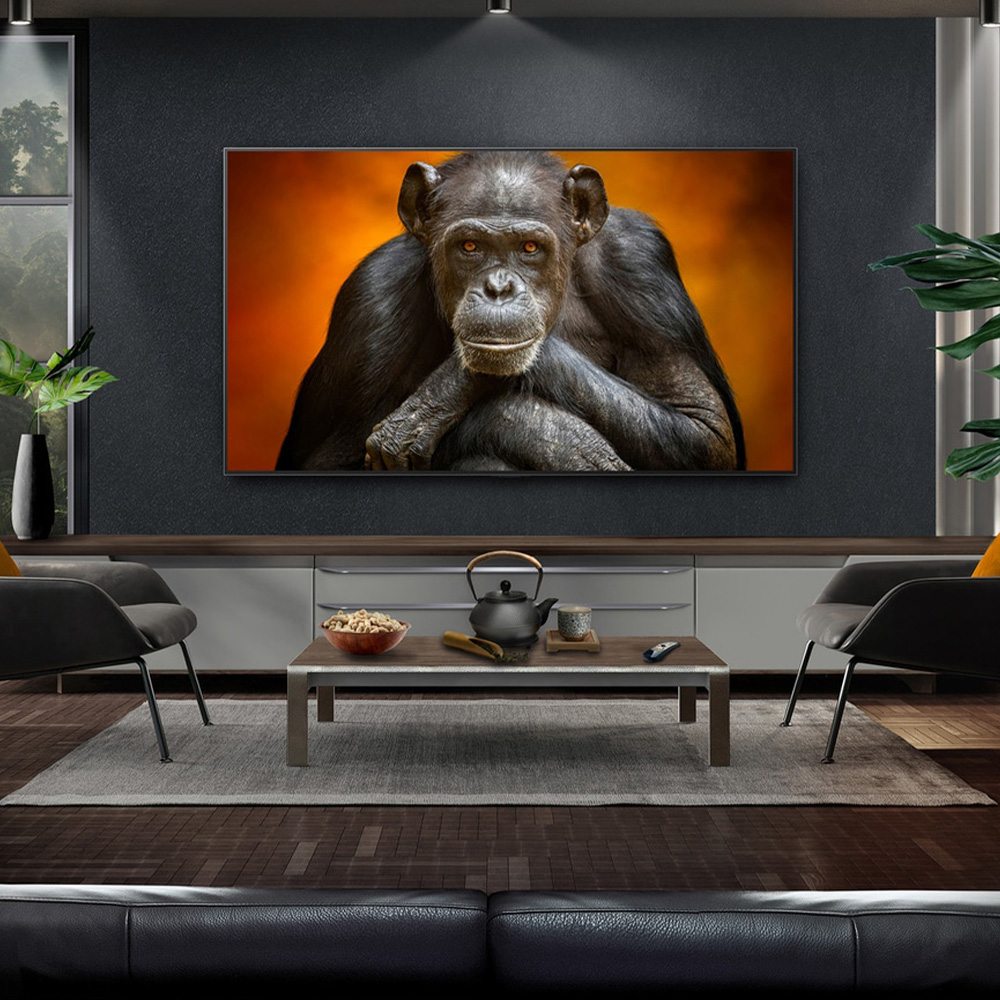 LG OLED97G5RLA &mdash; 100% цветовой охват DCI-P3, насыщенность цветов