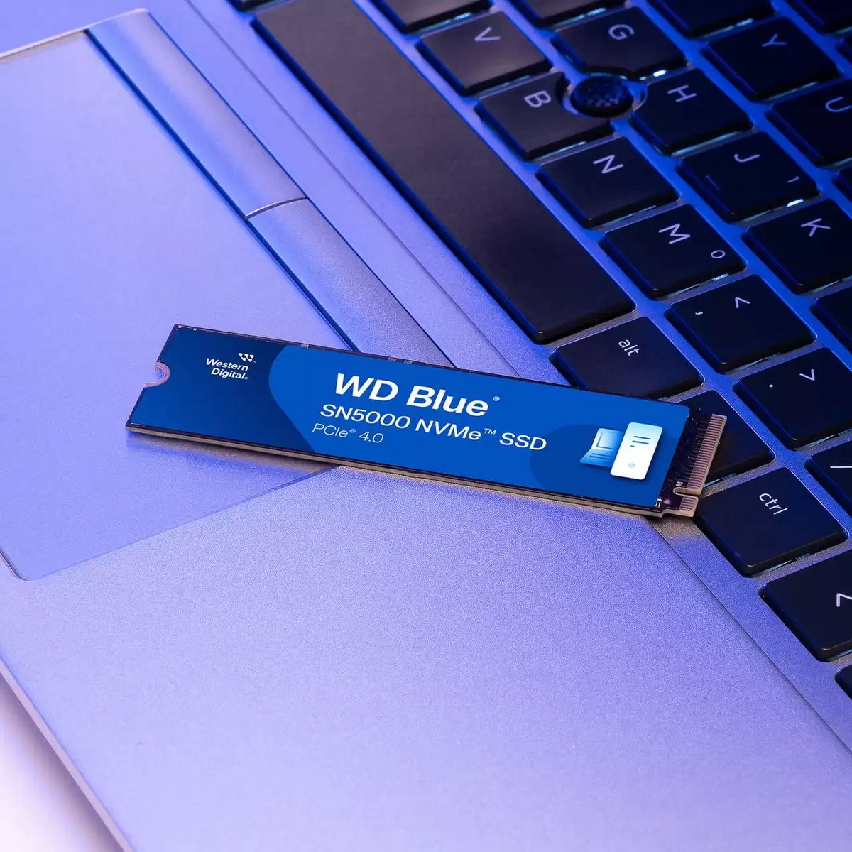 Western Digital SN5000 2ТБ M.2 2280 PCIe 4.0 плата накопителя крупным планом