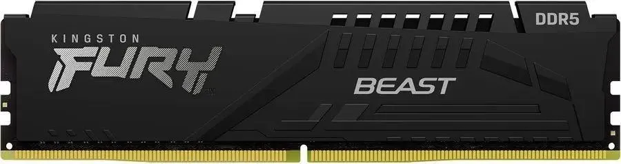 Kingston Fury Beast KF552C36BBE-32 DDR5 вид сверху — золотистые контакты и маркировка модуля