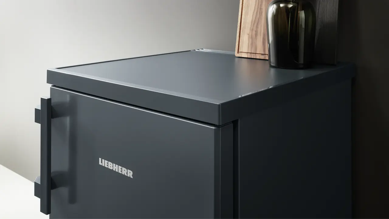 Liebherr Rdgd 1401-20 001 серый вид спереди металлическая дверь ручка