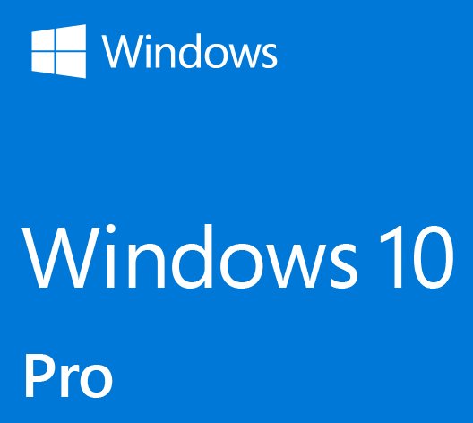 Microsoft Windows 10 Professional OEM логотип версия операционной системы