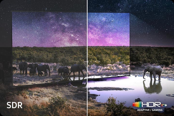 Neo Quantum HDR+: разница HDR10+ vs SDR