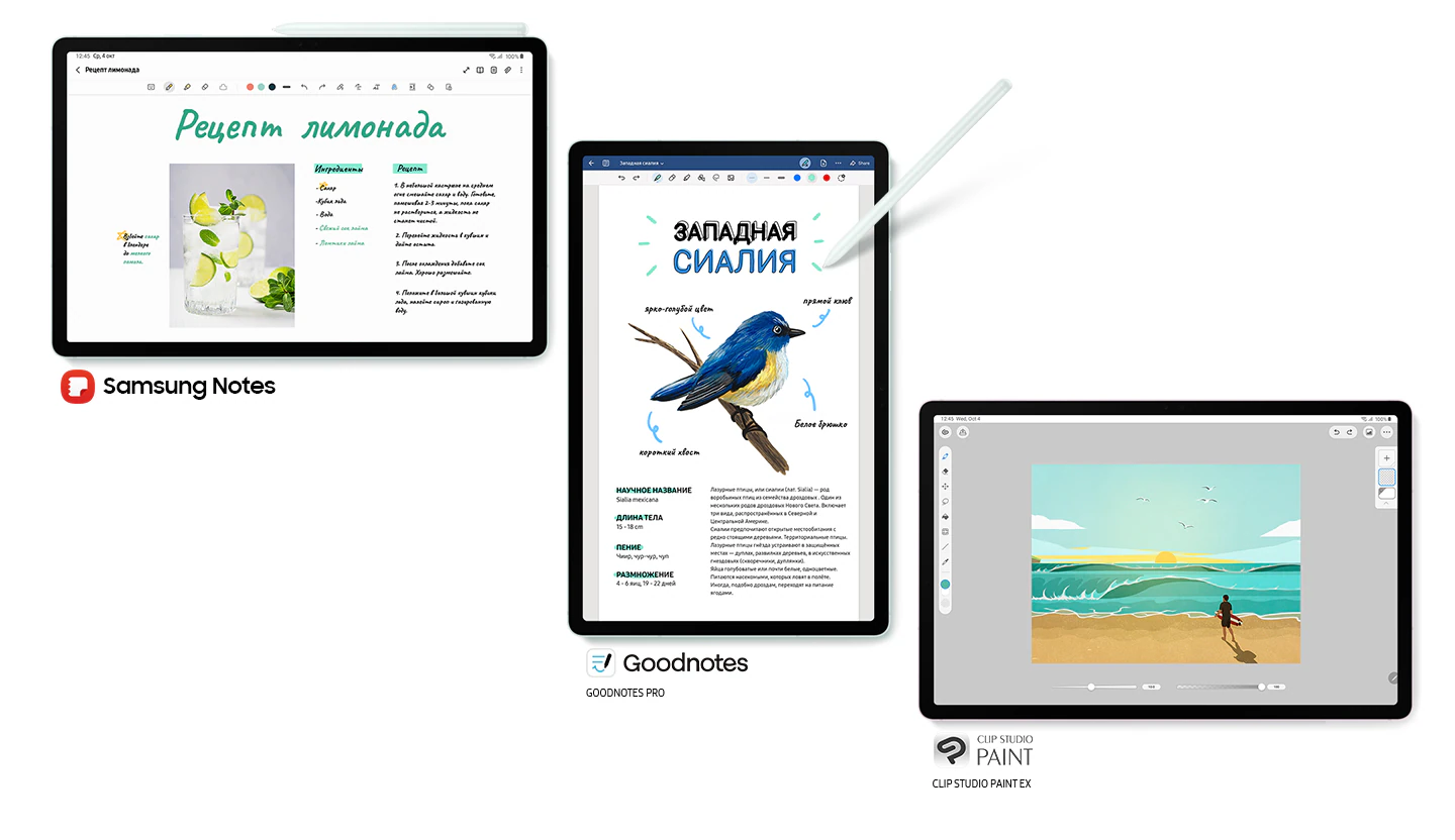На экране Galaxy Tab S9&nbsp;FE+ в мятном цвете, показанного спереди в горизонтальном режиме с закрепленным вверху пером S&nbsp;Pen, видно открытое приложение Samsung Notes. Логотип Samsung Notes. На экране Galaxy Tab S9&nbsp;FE+ в мятном цвете, показанного спереди в вертикальном режиме с пером S&nbsp;Pen, указывающим на экран, видно открытое приложение GOODNOTES PRO с текстом &laquo;1&nbsp;год бесплатно&raquo;. На экране Galaxy Tab S9&nbsp;FE+ в лавандовом цвете, показанного спереди в горизонтальном режиме, видно открытое приложение Clip Studio Paint с текстом &laquo;CLIPSTUDIO EX: 6&nbsp;месяцев бесплатно&raquo;.