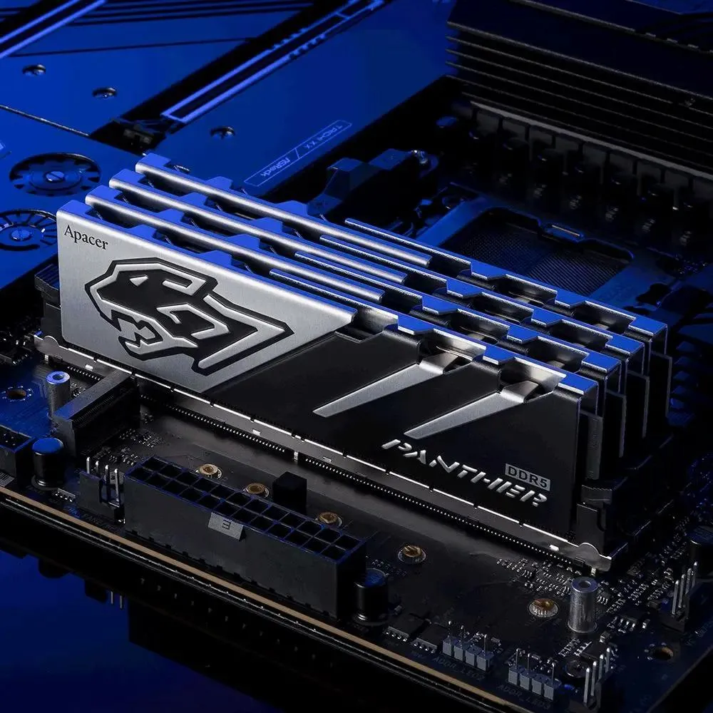 Apacer Panther AH5U32G56C5227BAA-2 DDR5 два модуля установлены на материнскую плату двухканальный режим
